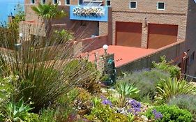 Lilies & Leopards B&B